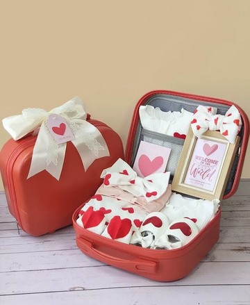 11-Piece Newborn Baby Girl Gift Basket Heart 0-3 months
