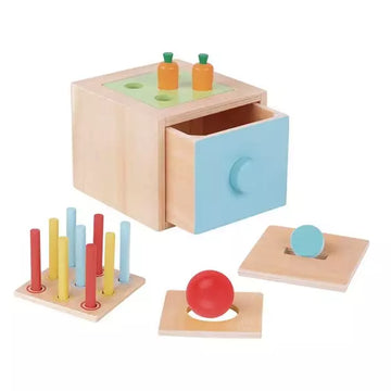 4-in 1 Wooden Play kit Educational Toy for Kids